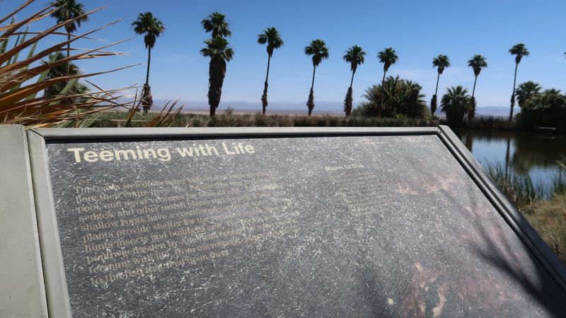 Why This Desert Detour Deserves A Spot On Your Road Trip List Why This Desert Detour Deserves A Spot On Your Road Trip List