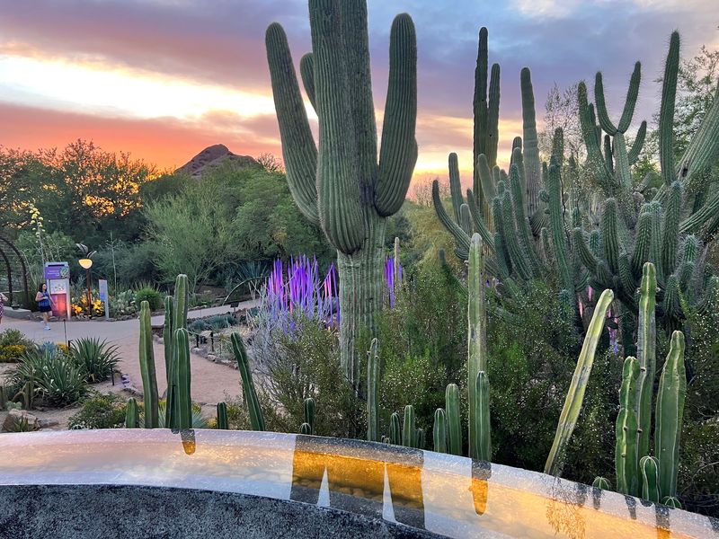 Why This Desert Escape Earns the Drive Why This Desert Escape Earns the Drive