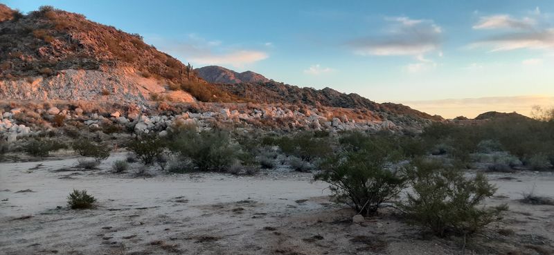 Why This Desert Find Is Worth a Look