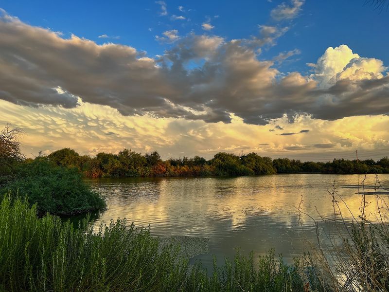 Why This Desert Oasis Is Worth the Drive
