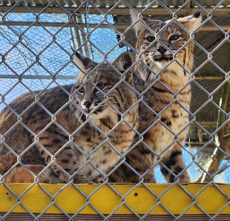 Why This Desert Rescue Stays With You Why This Desert Rescue Stays With You