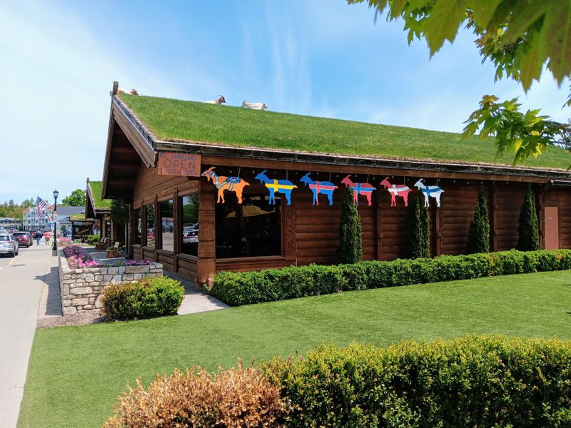 The Goat-Roofed First Impression