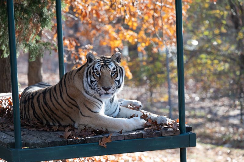 An Educational Visit That Supports Wildlife Rescue Efforts