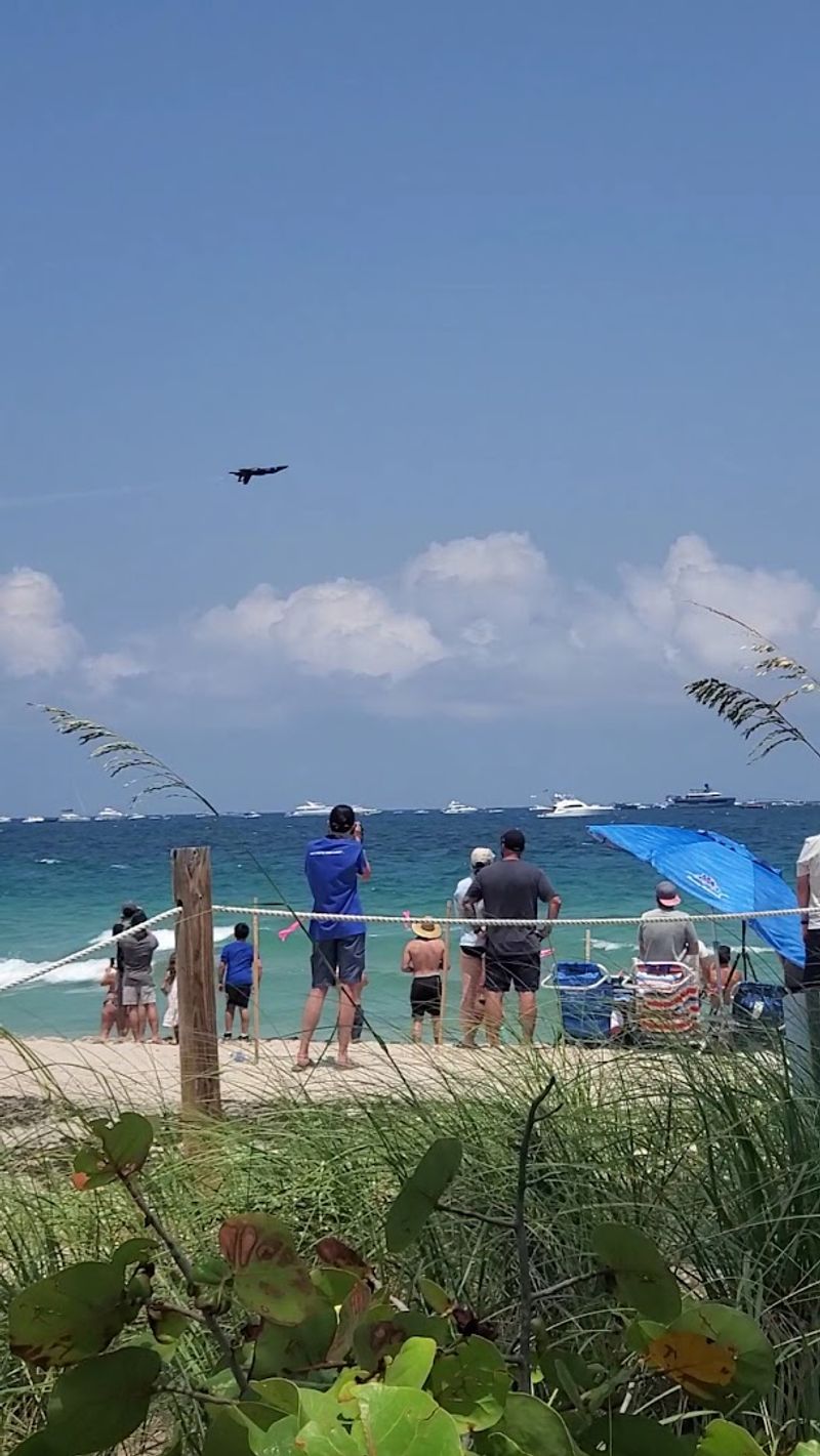 Why This Event Keeps Drawing Record Crowds Every Year