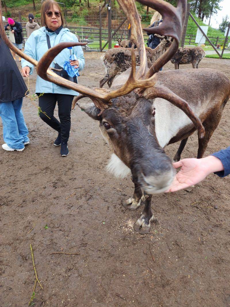 Why This Farm Belongs On Your Washington Weekend List