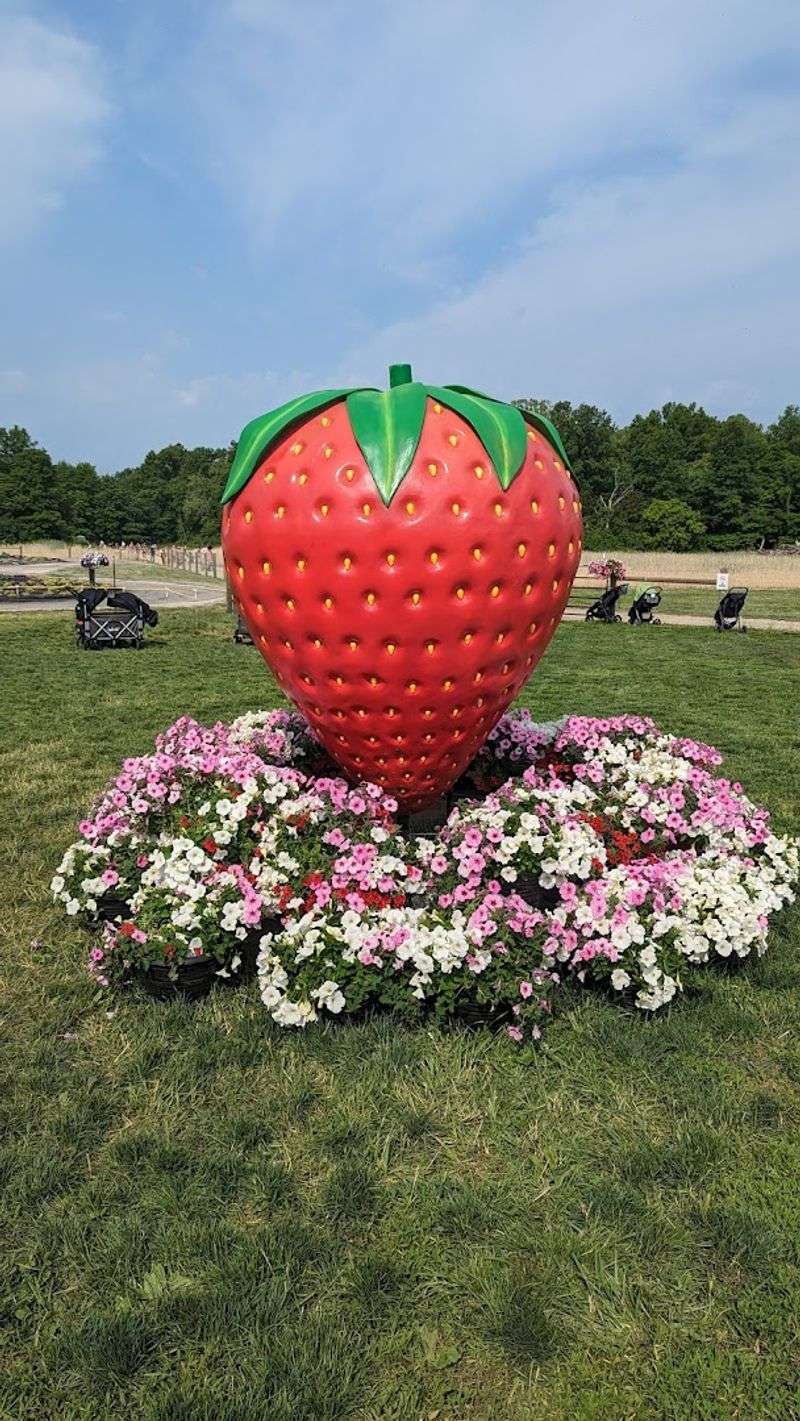 Why This Farm Deserves a Spot on Your Spring List