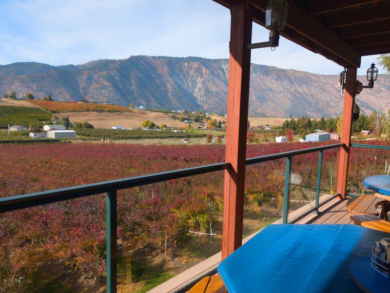 Why This Farm Detour Is Worth the Drive Why This Farm Detour Is Worth the Drive