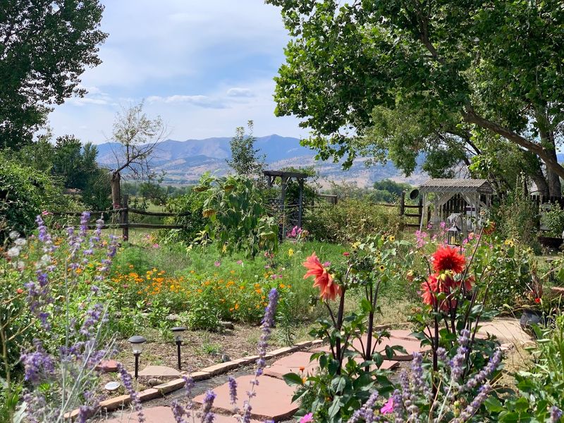 Why This Farm Sticks With You Long After The Donuts Are Gone