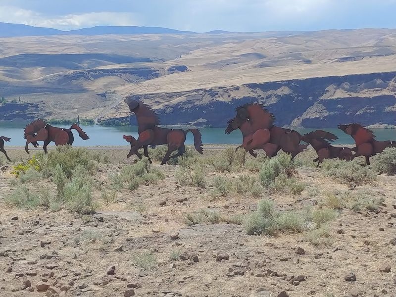 Why This Free Herd Deserves Your Next Detour