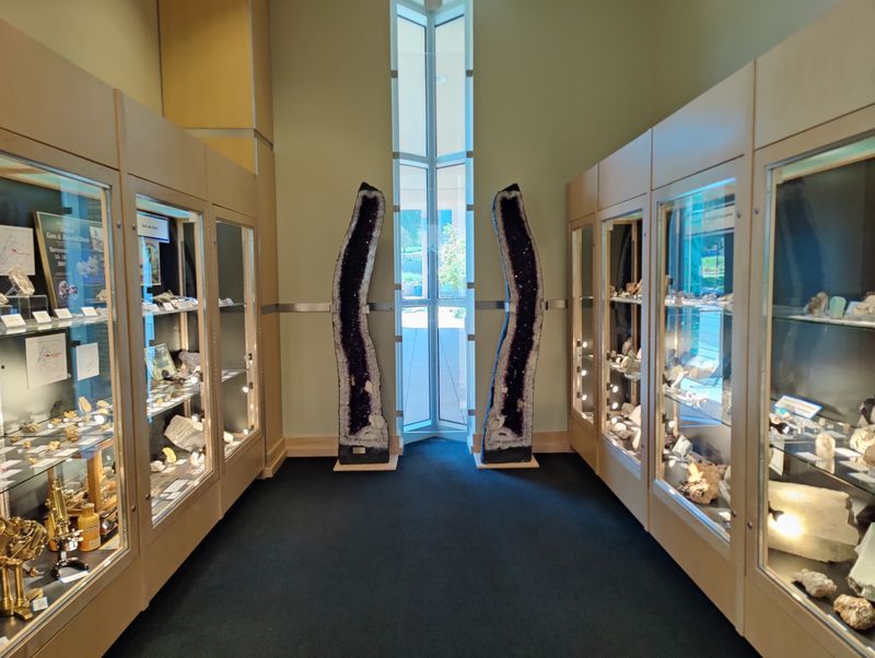 Why This Free Museum Stays In Your Head Why This Free Museum Stays In Your Head