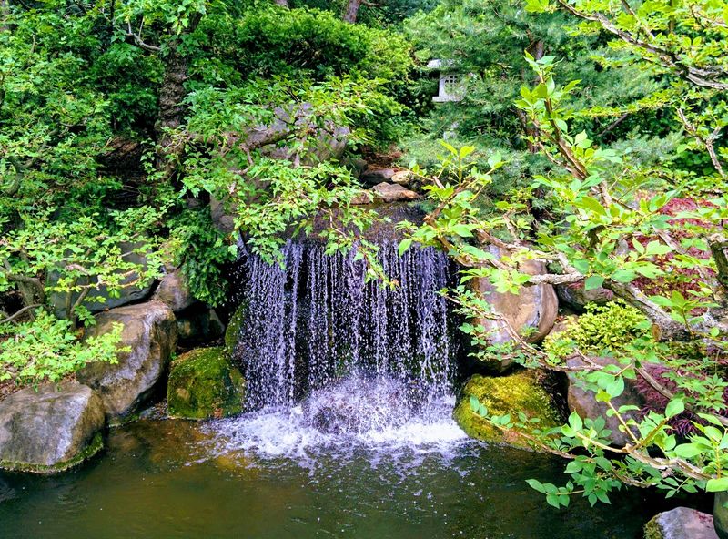 Why This Garden Belongs On Your Illinois Bucket List Why This Garden Belongs On Your Illinois Bucket List