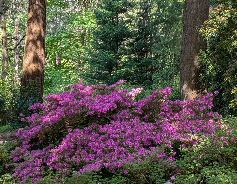 Why This Garden Deserves A Spot On Your List