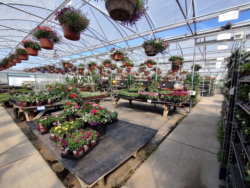 Why This Garden Stays With You Long After You Leave