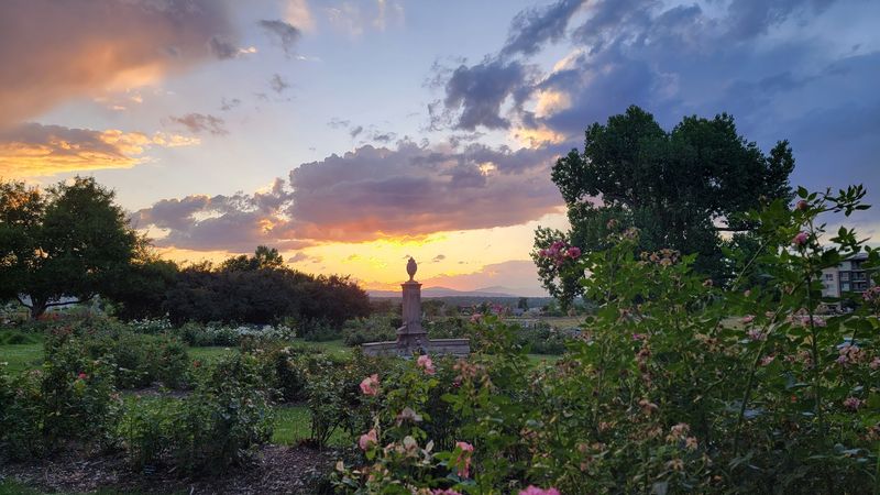 Golden Hour and Photography That Plans Itself