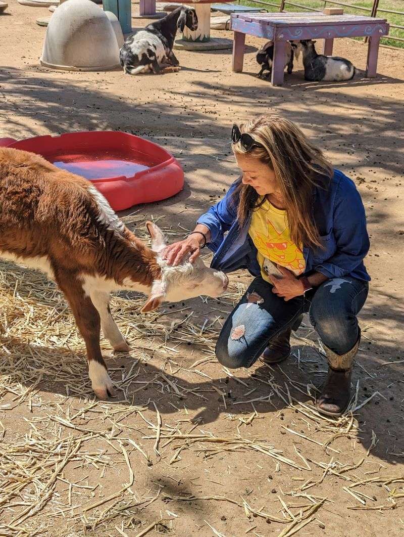Why This Gentle Farm Tour Is Worth the Drive Why This Gentle Farm Tour Is Worth the Drive