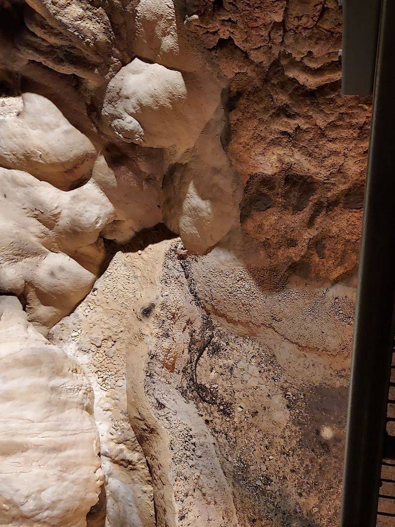 Why This Hidden Gem Is Worth the Drive