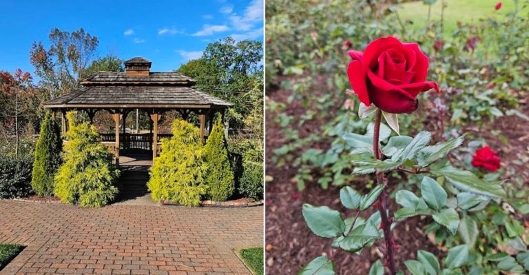 Why This Hidden Pennsylvania Rose Garden With 2,000 Blooms Is A Must See Destination