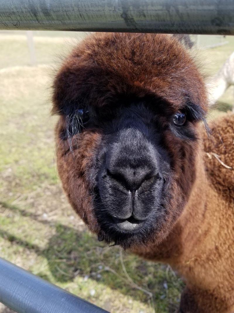 Why This Little Farm Is Worth the Drive
