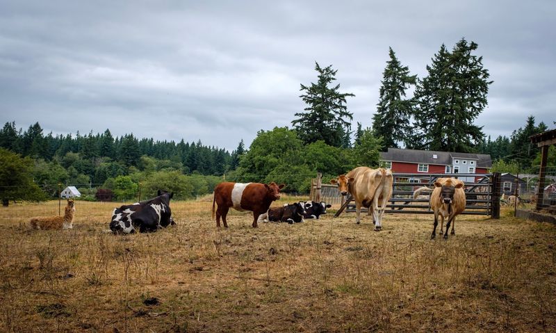 Why This Little Sanctuary Is Worth The Drive Why This Little Sanctuary Is Worth The Drive