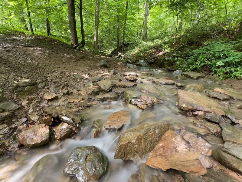 The Scenic Hike That Leads To The Hidden Cascade