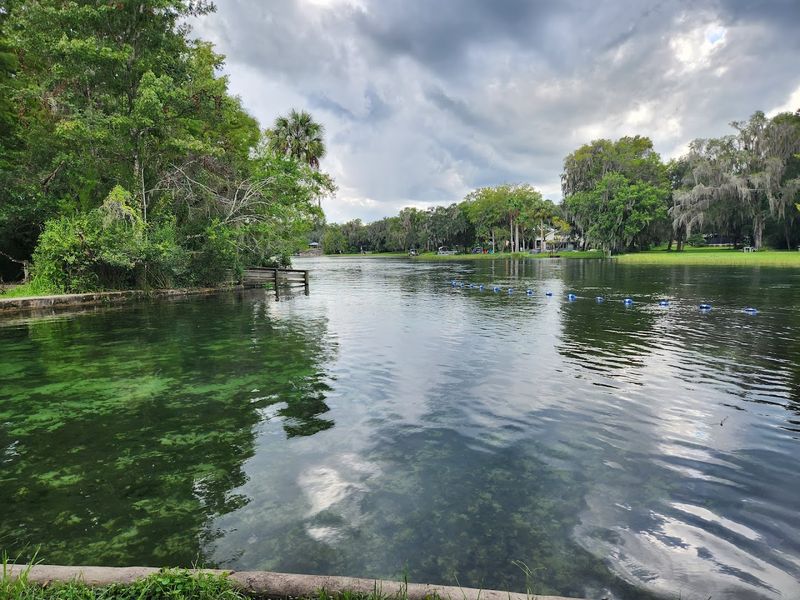 Why This Park Deserves A Spot On Your Florida Bucket List Why This Park Deserves A Spot On Your Florida Bucket List