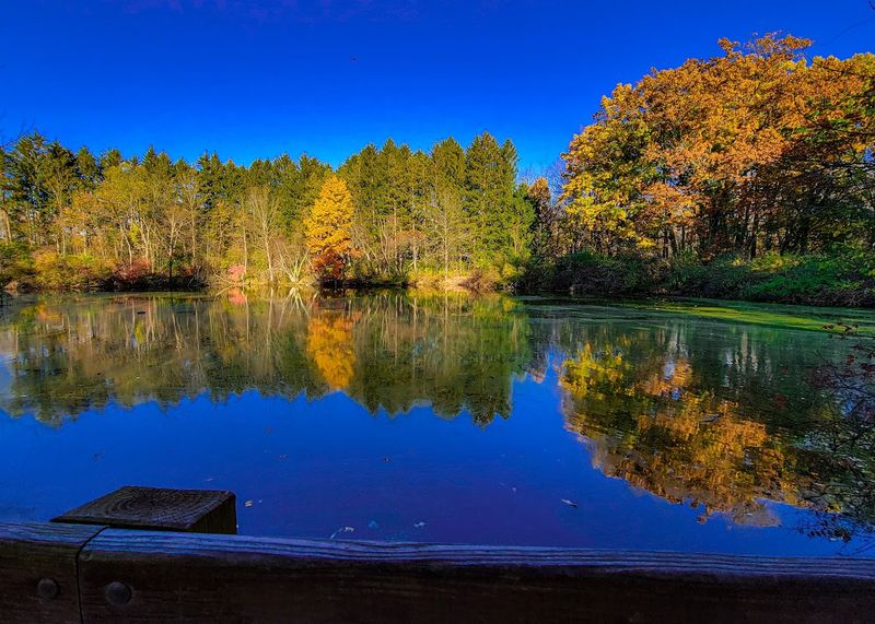 Why This Park Keeps Bringing People Back Why This Park Keeps Bringing People Back