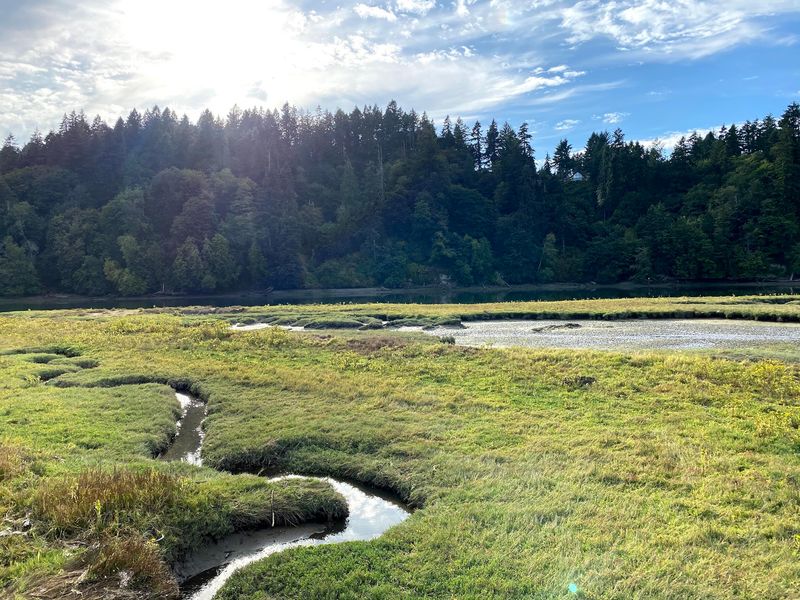 Why This Peaceful Spot Stays With You Why This Peaceful Spot Stays With You