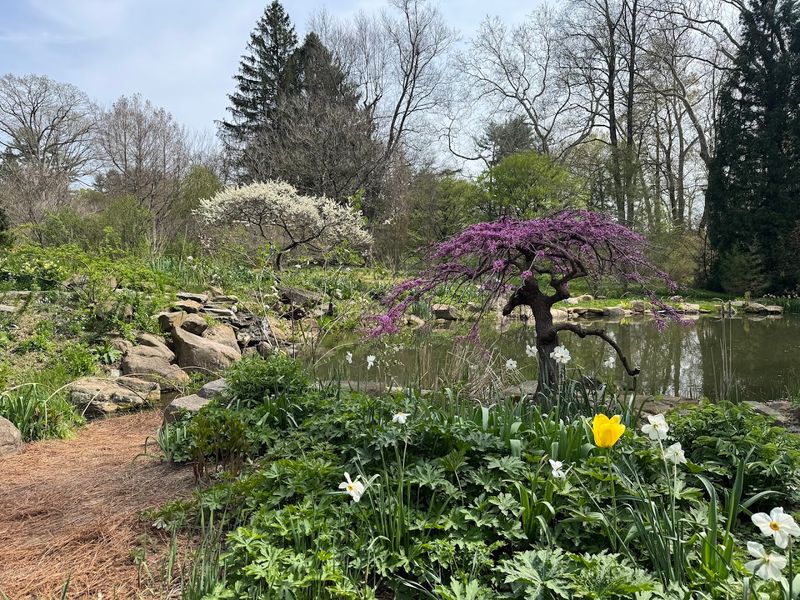 Why This Pennsylvania Garden Earns Its Reputation Why This Pennsylvania Garden Earns Its Reputation