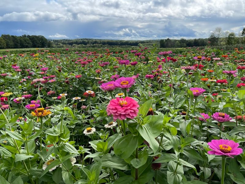 Why This Pennsylvania Spot Keeps Drawing Visitors Back
