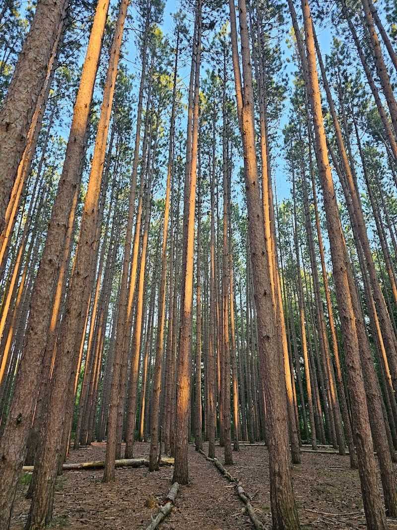 Why This Place Deserves a Spot on Your List