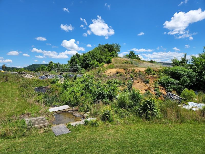 Why This Place Matters Far Beyond Tennessee's Borders