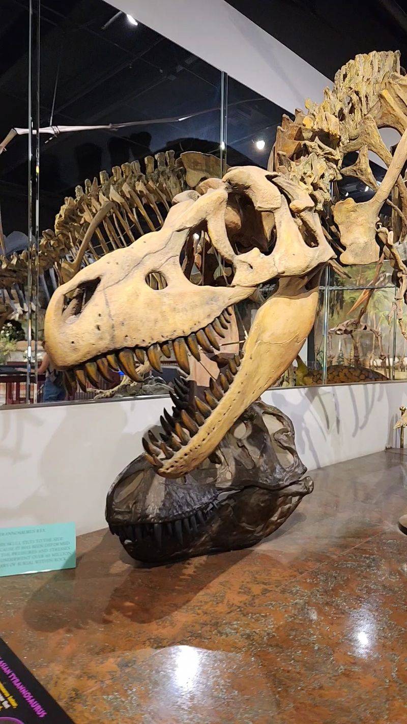 Why This Prehistoric Playground Earns A Spot On Your List