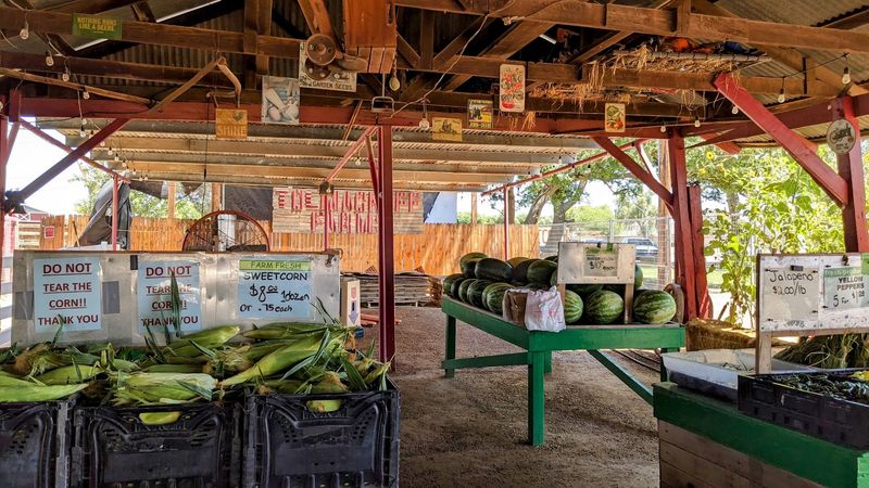 Why This Pumpkin Trip Might Become A Family Habit