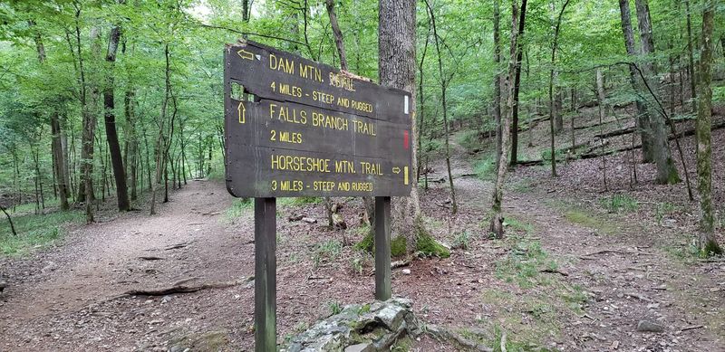 The Best Time To Experience The Trail At Its Peak