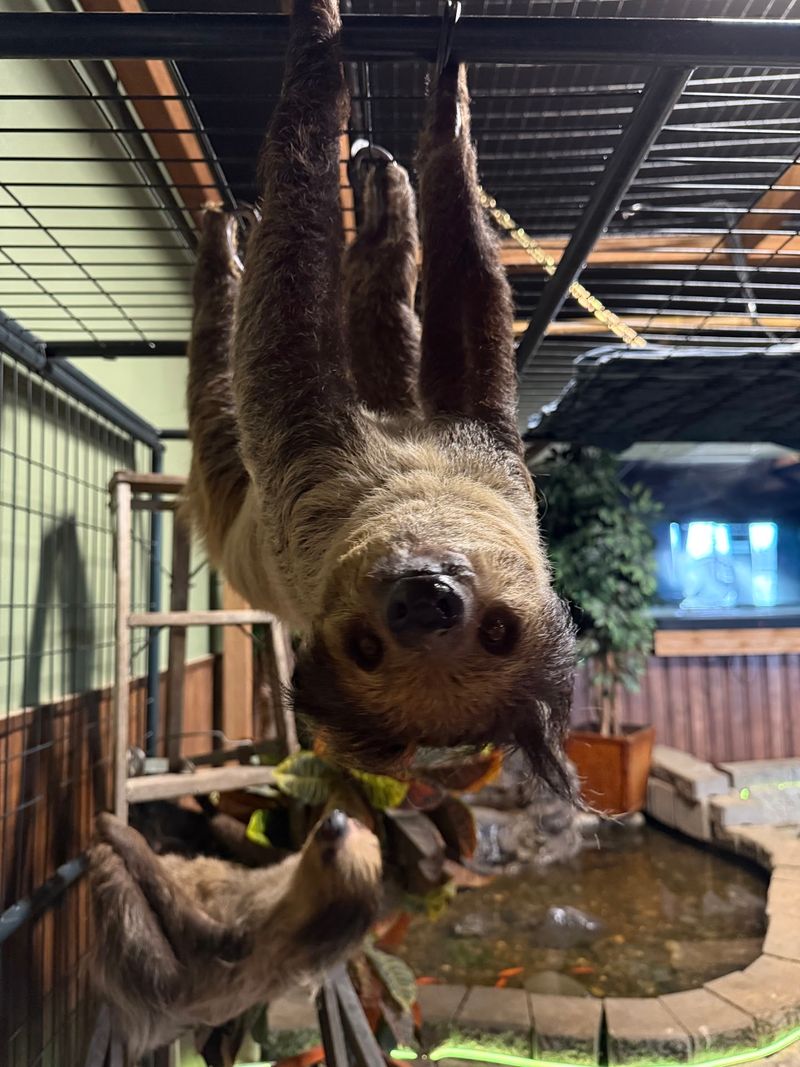 Why This Quirky Sanctuary Deserves A Spot On Your List Why This Quirky Sanctuary Deserves A Spot On Your List