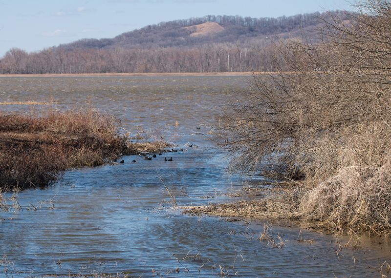 Why This Refuge Is Worth The Drive