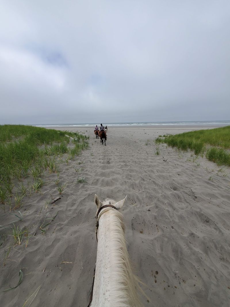 Why This Ride Belongs On Your Coastal Weekend