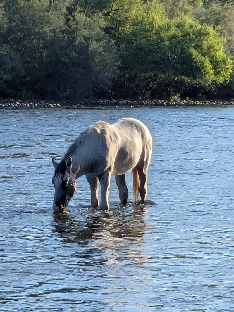 Why This Riverbank Deserves A Spot On Your Calendar