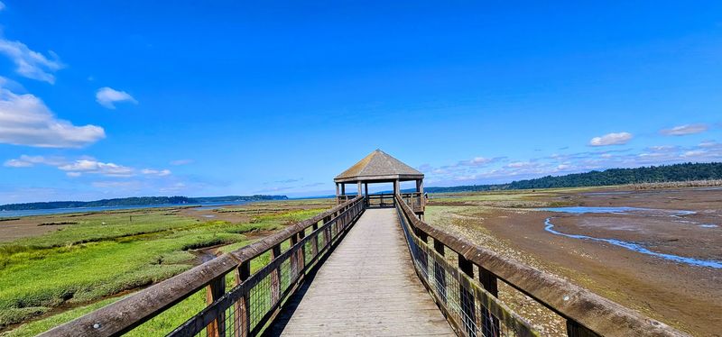 Why This Riverside Refuge Wins Hearts