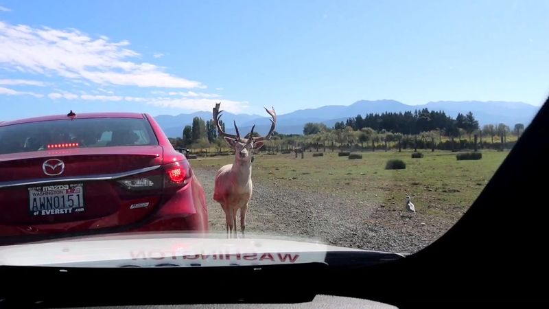 Why This Roadside Stop Sticks With You