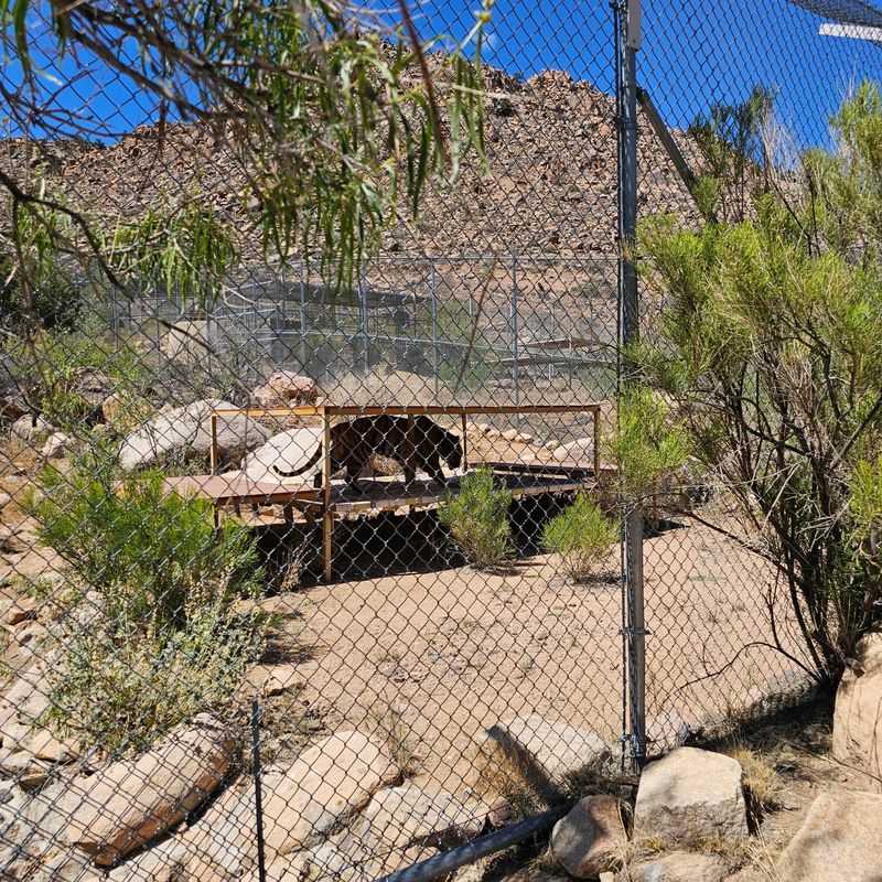 Why This Sanctuary Is Worth the Drive