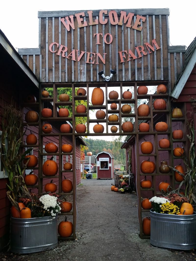 Why This Snohomish Patch Earns a Spot on Your Fall List Why This Snohomish Patch Earns a Spot on Your Fall List