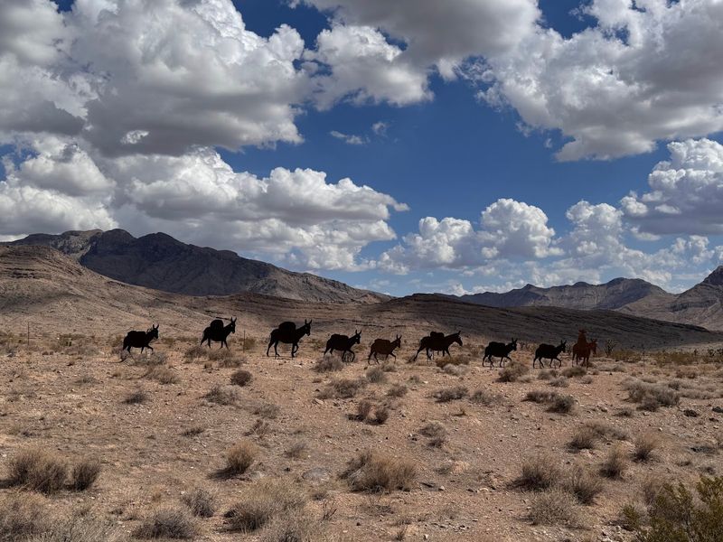 Wildlife And Nature Around Beaver Dam Wash