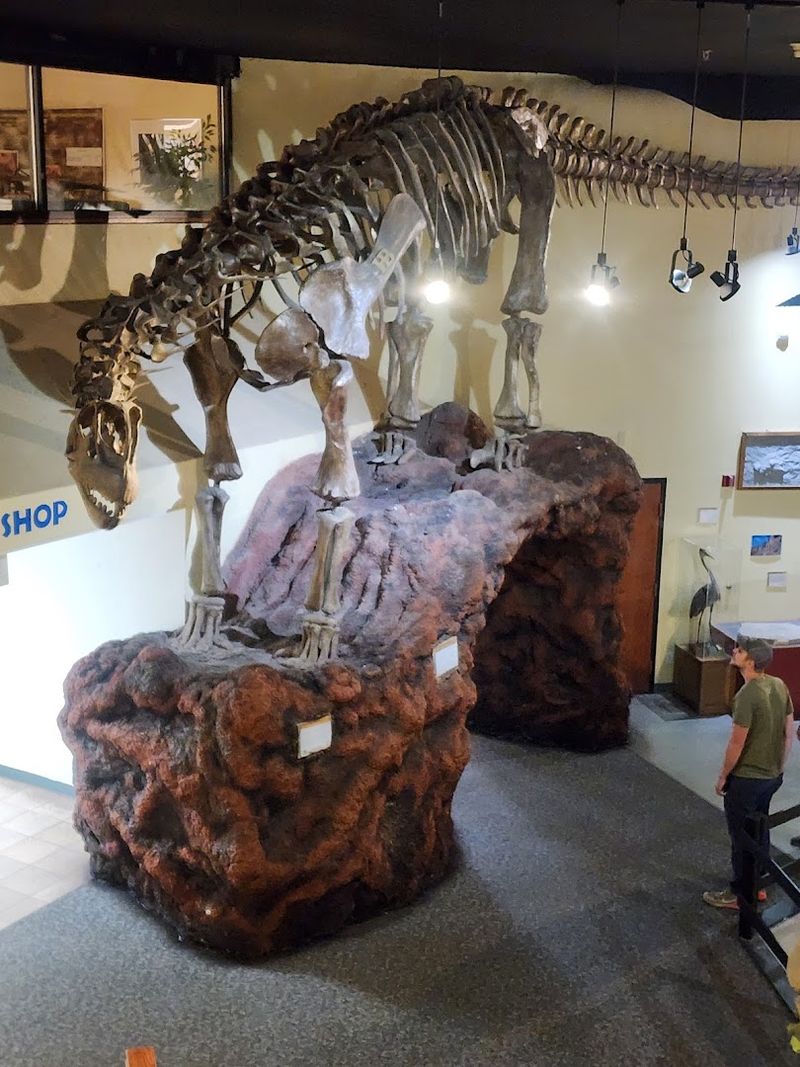 Why This Stop Deserves a Permanent Spot on Your Western Colorado Route