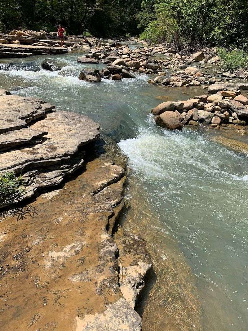 What To Know Before You Jump Or Swim