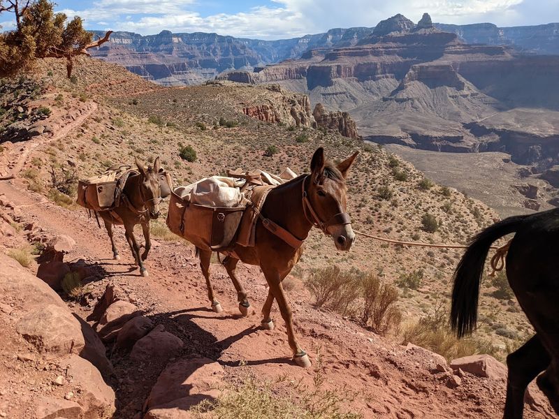 Why This Trail Earns Its Legendary Status