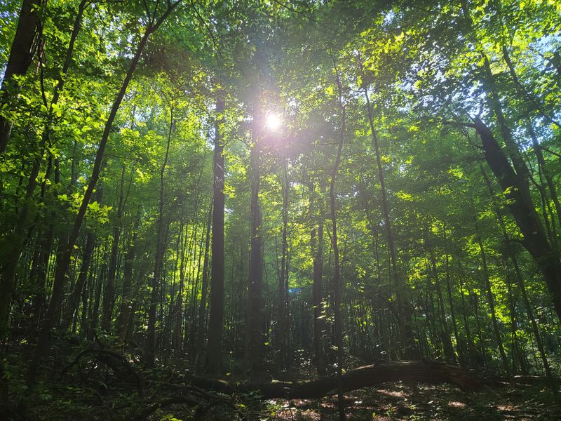 Exploring the Wider Hinckley Reservation