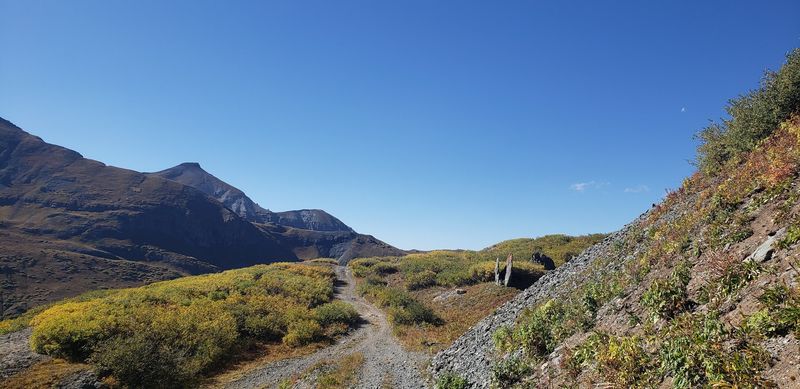 The Arrival Scene: Your First Steps On The Trail