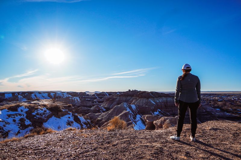 Wildlife Encounters in the Badlands