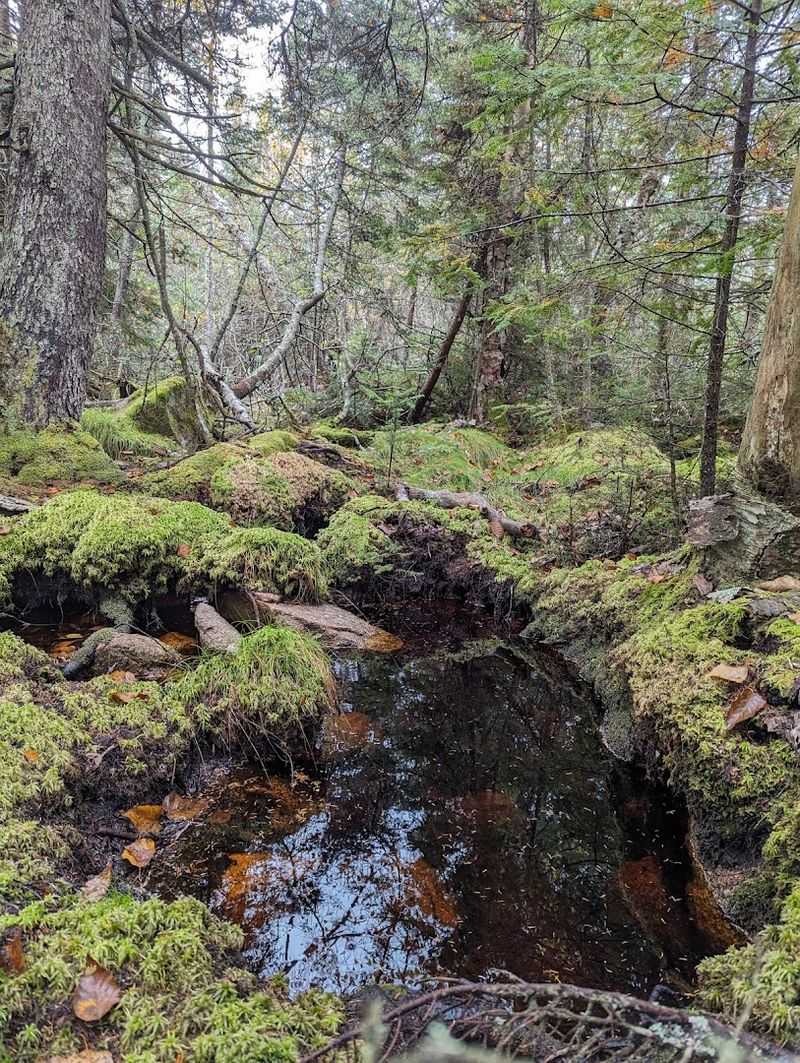 Why This Trail Stays With You